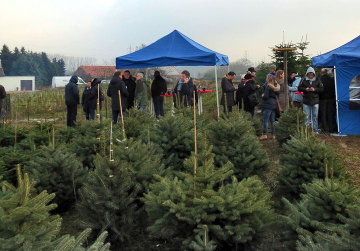 Weihnachtsbäume selber schlagen bei Goetschkes – Das Event für Firmen, Behörden und Vereine!